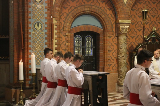 Ruda Śl.-Kochłowice. Ustanowienie ceremoniarzy i kandydatów na animatorów