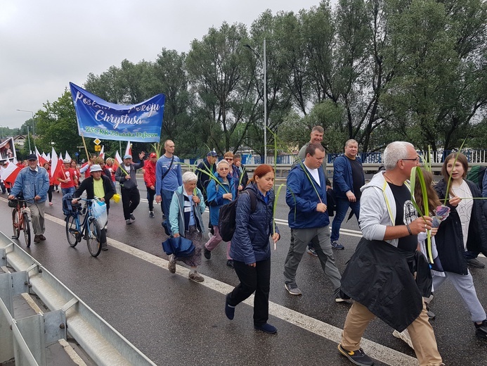 Wejście Łowickiej Pielgrzymki na Jasną Górę