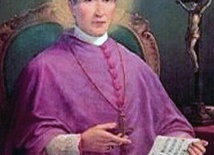 Św. Antoni Maria Gianelli