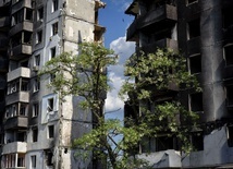 W Borodiance