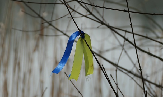 Szwedzkie media: ukraińskie dzieci pobite w ośrodku dla uchodźców przez arabskojęzycznych nastolatków