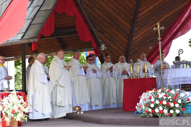 Pielgrzymka chorych, niepełnosprawnych i służby zdrowia do Rokitna