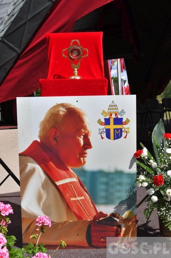 Pielgrzymka chorych, niepełnosprawnych i służby zdrowia do Rokitna