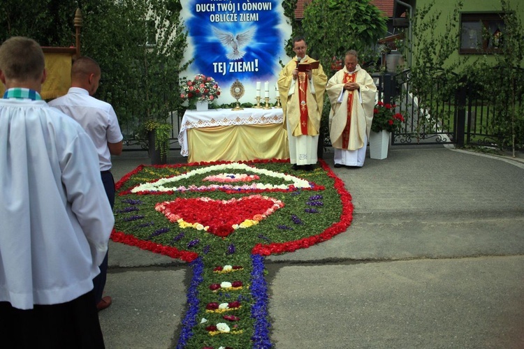 Procesja Bożego Ciała po kwietnych dywanach w Kluczu