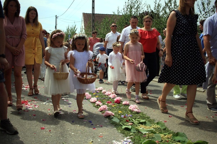 Procesja Bożego Ciała po kwietnych dywanach w Kluczu