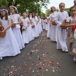 Procesja eucharystyczna z wrocławskiego Kozanowa na Pilczyce z kwietnymi dywanami