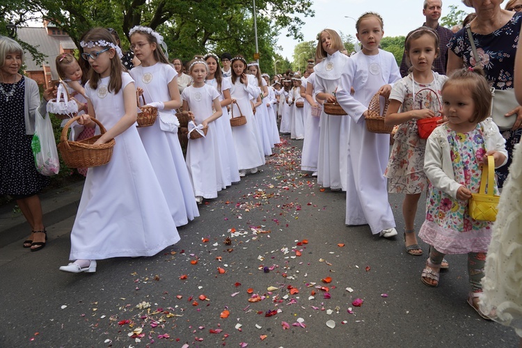 Procesja eucharystyczna z wrocławskiego Kozanowa na Pilczyce z kwietnymi dywanami