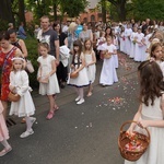 Procesja eucharystyczna z wrocławskiego Kozanowa na Pilczyce z kwietnymi dywanami