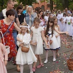 Procesja eucharystyczna z wrocławskiego Kozanowa na Pilczyce z kwietnymi dywanami