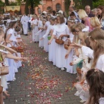 Procesja eucharystyczna z wrocławskiego Kozanowa na Pilczyce z kwietnymi dywanami