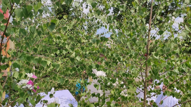 Procesja Bożego Ciała w Brzeziej Łące