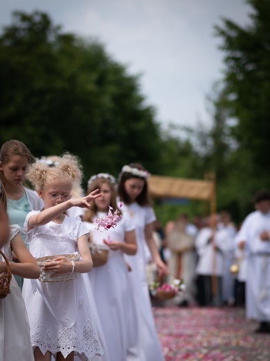  Boże Ciało u św. Andrzeja Boboli w Świdnicy