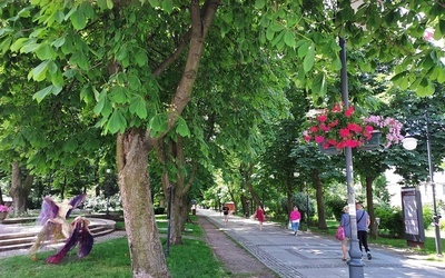 Organizatorzy zapraszają od 16.00 do parku im. Tadeusza Kościuszki.