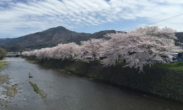 Japonia