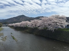 Japonia