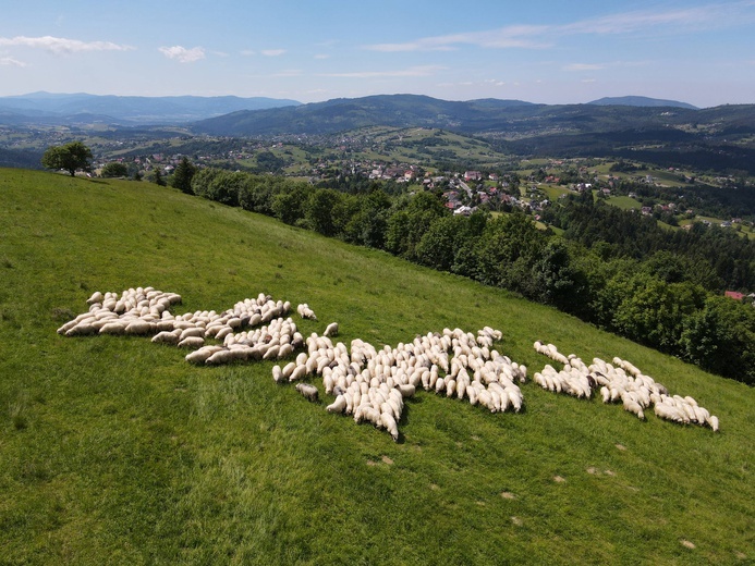 Trójwieś Beskidzka