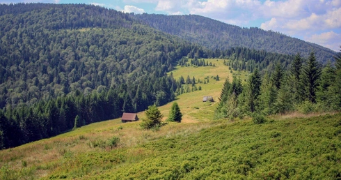 Ruch Światło-Życie zaprasza na oazy