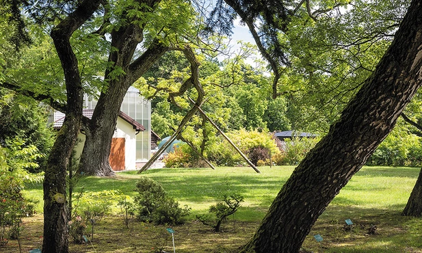 Wypocząć można podczas spaceru po Arboretum Wirty.