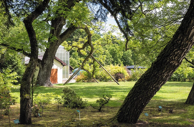 Wypocząć można podczas spaceru po Arboretum Wirty.