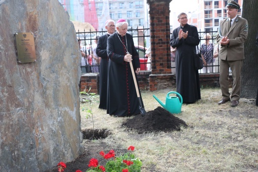 Katowice. Odpust u Świętych Apostołów Piotra i Pawła