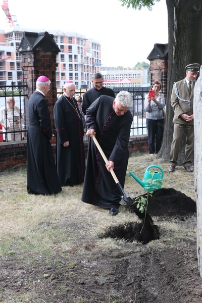 Katowice. Odpust u Świętych Apostołów Piotra i Pawła