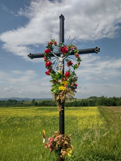 Kościoły, kapliczki i krzyże z Szerzyn i okolic