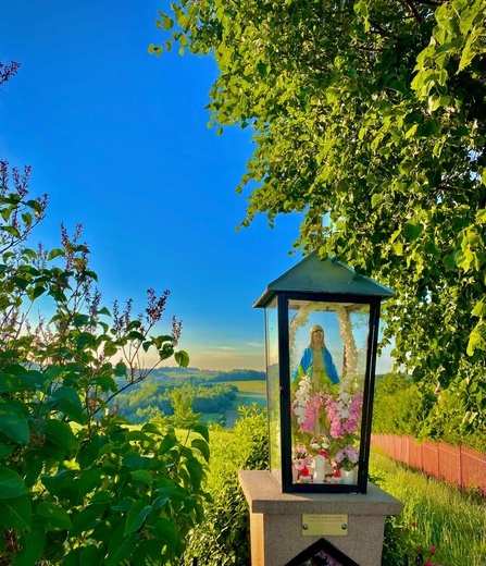 Kościoły, kapliczki i krzyże z Szerzyn i okolic