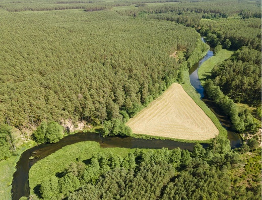 Kociewie - kraina zielonej łagodności