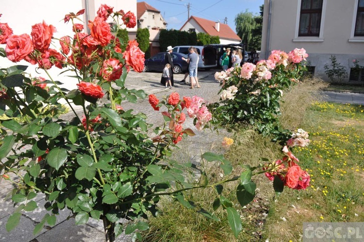 Z Otynia na Jasną Górę