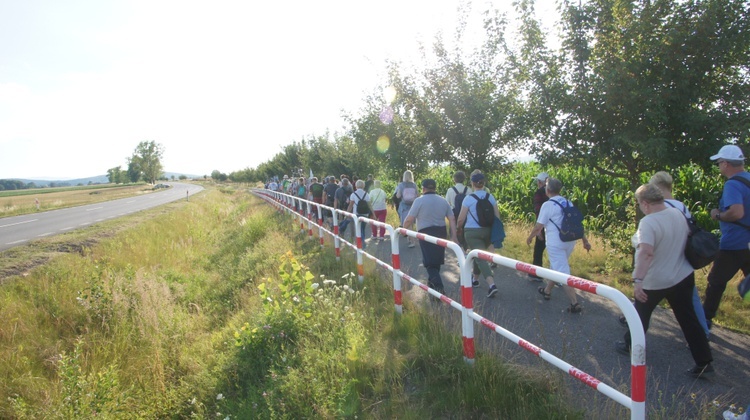 Łagiewniki. XV Piesza Pielgrzymka do MB Pocieszenia w Stoszowie