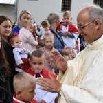 Odpust i jubileusz w Domosławicach