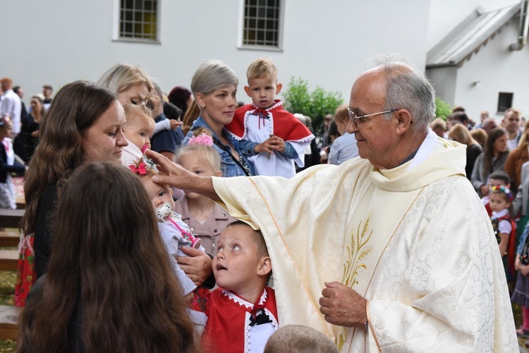 Odpust i jubileusz w Domosławicach