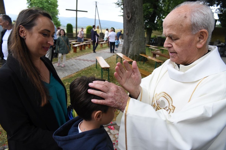 Odpust i jubileusz w Domosławicach