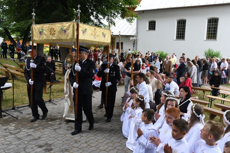 Odpust i jubileusz w Domosławicach