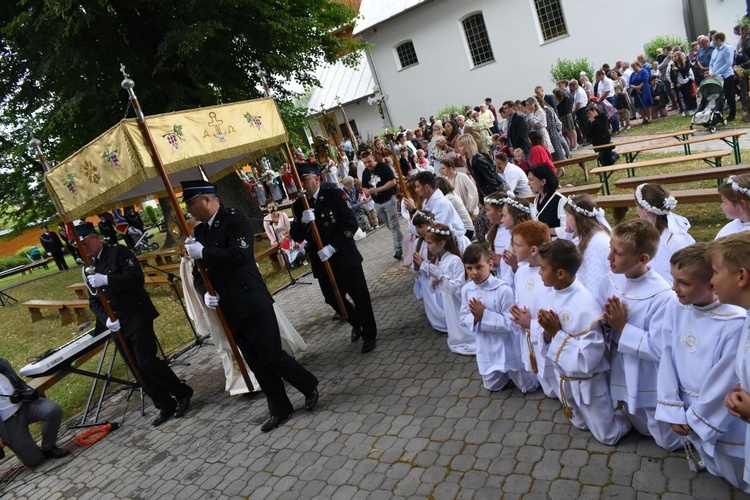 Odpust i jubileusz w Domosławicach