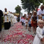 Odpust i jubileusz w Domosławicach