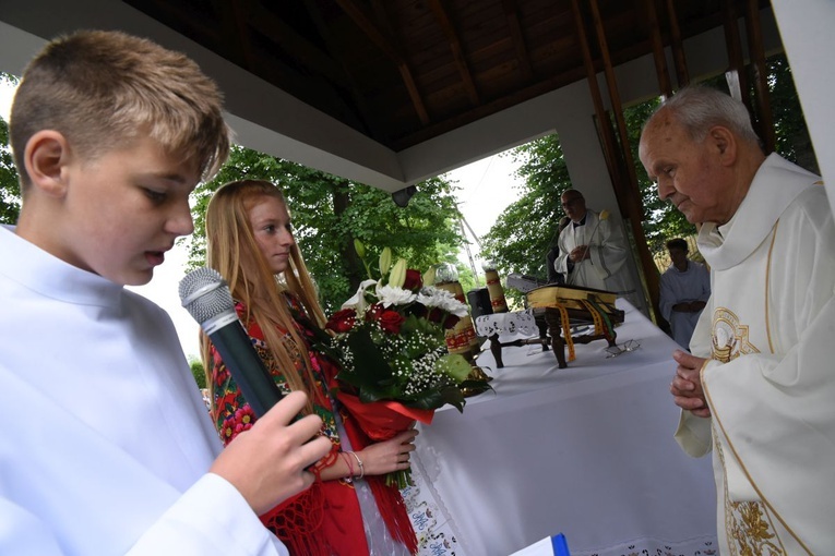 Odpust i jubileusz w Domosławicach
