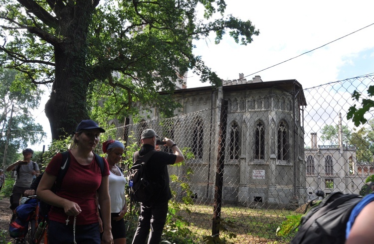 Jubileuszowe Camino Synodalne