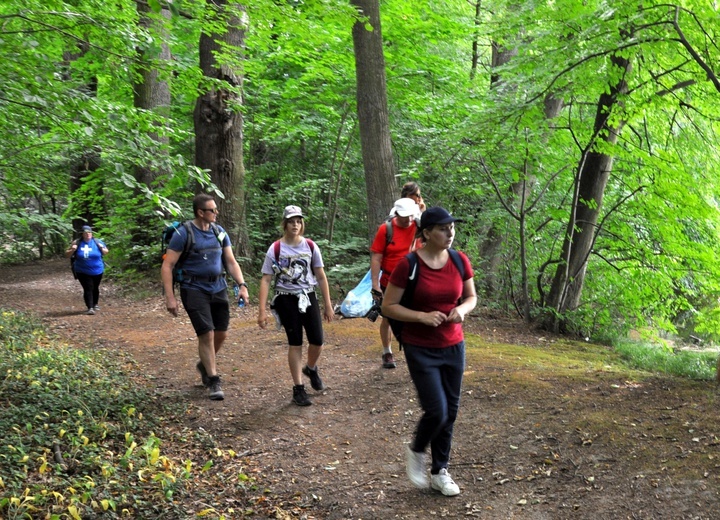 Jubileuszowe Camino Synodalne