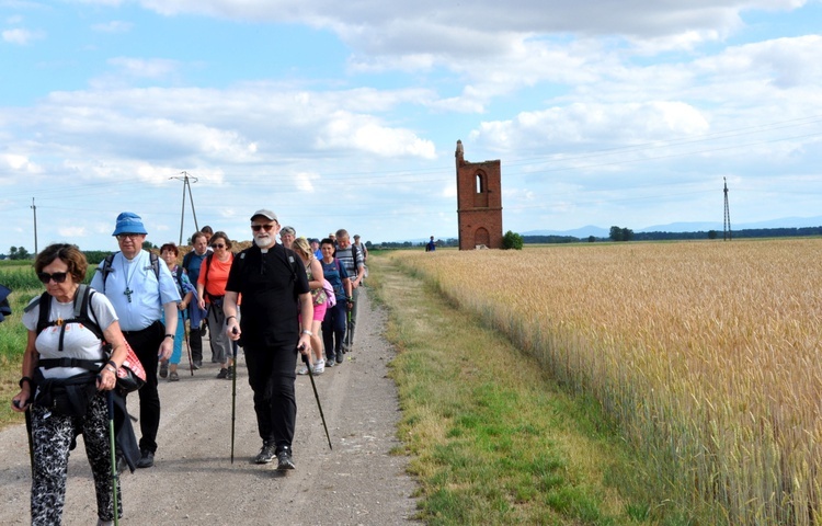 Jubileuszowe Camino Synodalne