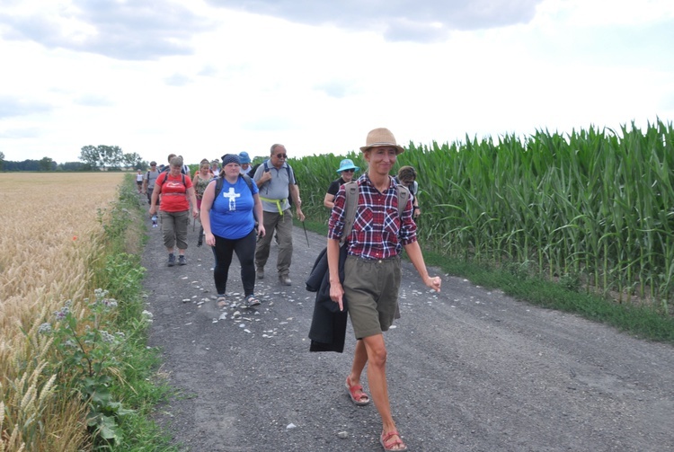 Jubileuszowe Camino Synodalne