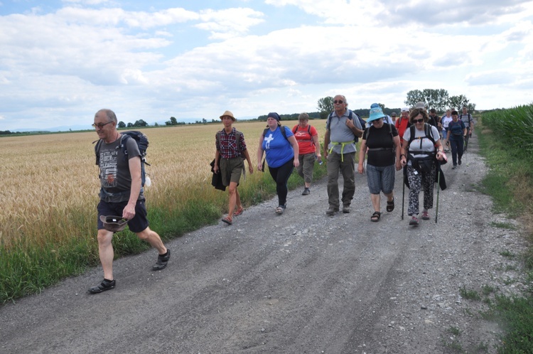 Jubileuszowe Camino Synodalne