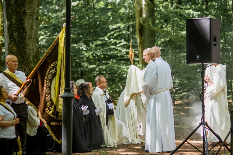 Odpust Matki Bożej Uzdrowienia Chorych w Wejherowie