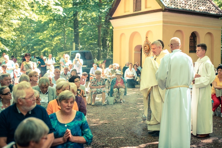 Odpust Matki Bożej Uzdrowienia Chorych w Wejherowie