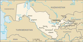 Uzbekistan: 18 osób zginęło, ponad 240 rannych w protestach przeciwko zmianom w konstytucji