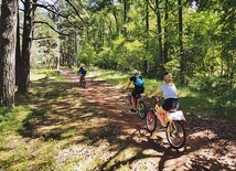 Puszcza jest bardzo atrakcyjna turystycznie. Ma gęstą sieć 360 km szlaków pieszych  i 145 km rowerowych.