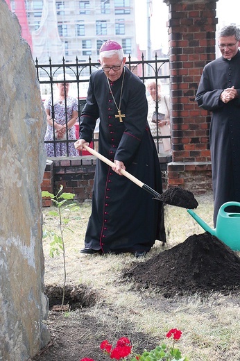 ▲	Symbolem uroczystości jubileuszowych jest dąb papieski, który zasadzono na placu przed kościołem.