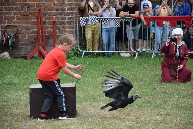 Międzynarowowy Turniej Rycerski