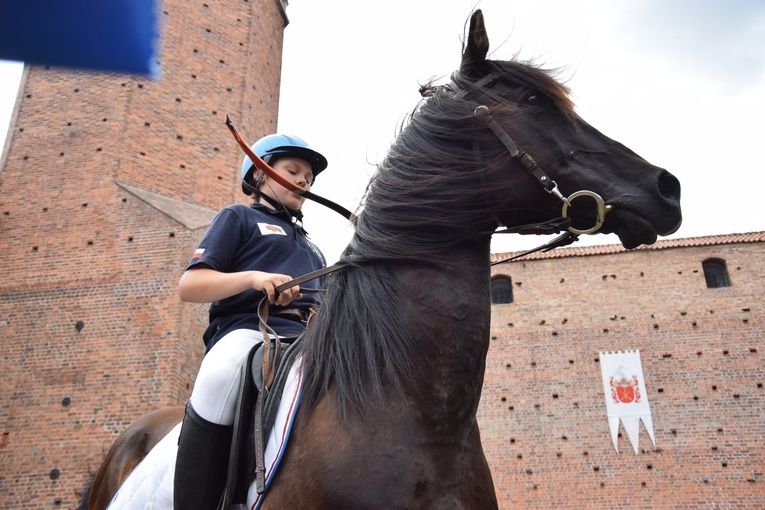 Międzynarowowy Turniej Rycerski