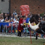 Międzynarowowy Turniej Rycerski